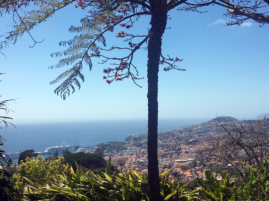 auf das Meer und die Stadt Funchal.