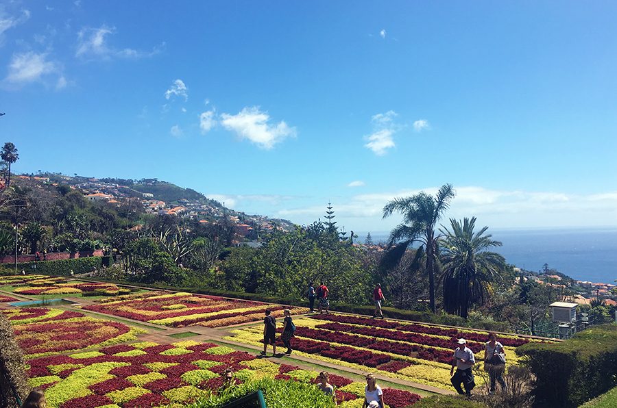 Zu unseren Reiseberichten aus Madeira, Portugal.