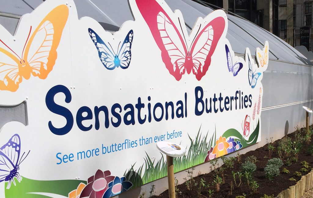 Auf in die aktuelle und beliebte Sonder-Ausstellung des Natural History Museums: Sensational Butterflies!
