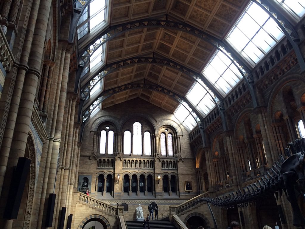 Beeindruckend, gleich von Anfang an: die imposante Eingangshalle des Natural Histroy Museums, inklusive riesigem Dinosaurier-Skelett, von dem hier nur der Schwanz ins Bild ragt.