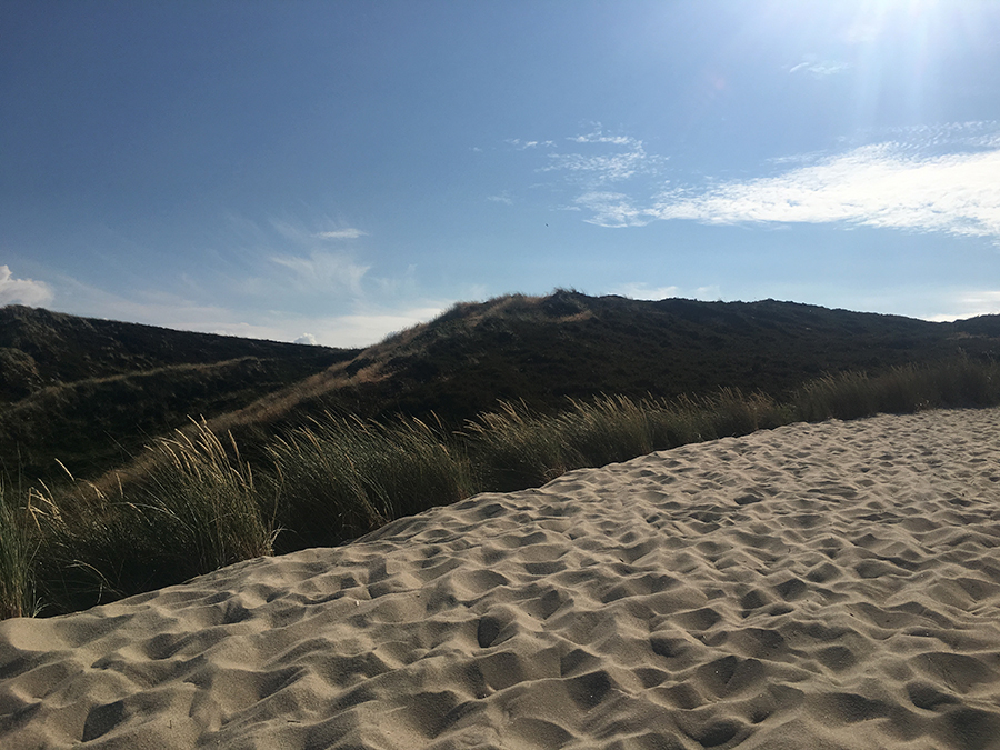 Das klassische Dünenbild: Sand, Strandhafer und bewachsene Dünen.