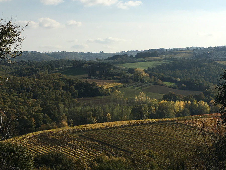 Im Herbst in der Toskana kommt öfters noch die Sonne raus und schafft es auch noch auf richtig angenehme Temperaturen.