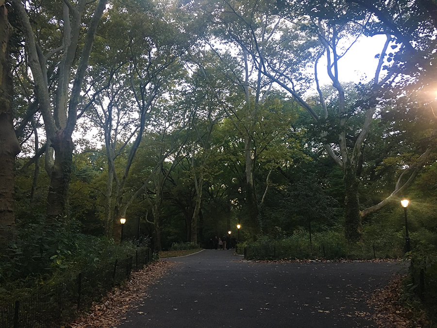 Es beginnt zu dämmern im Central Park.