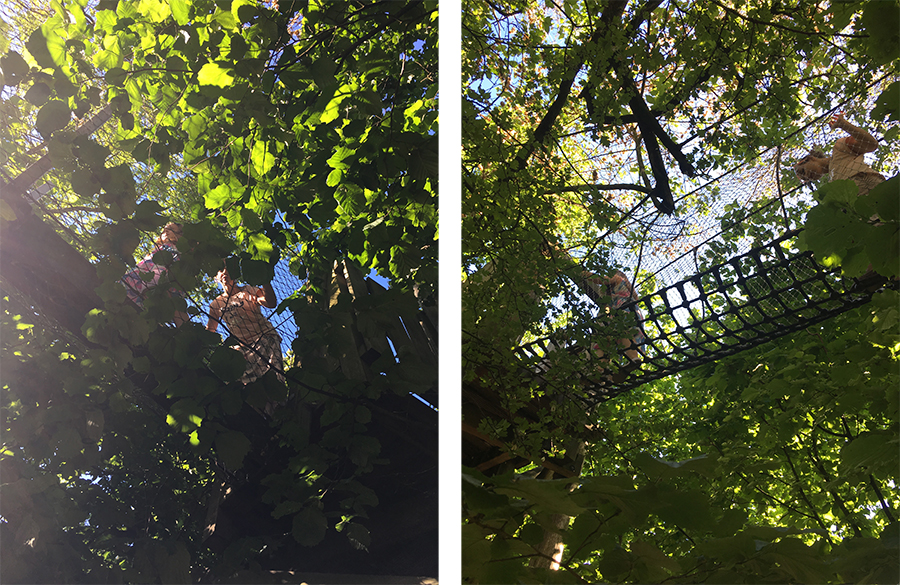 Durch das Blätterdach des Vondelparks spazieren - was gibt's Schöneres?