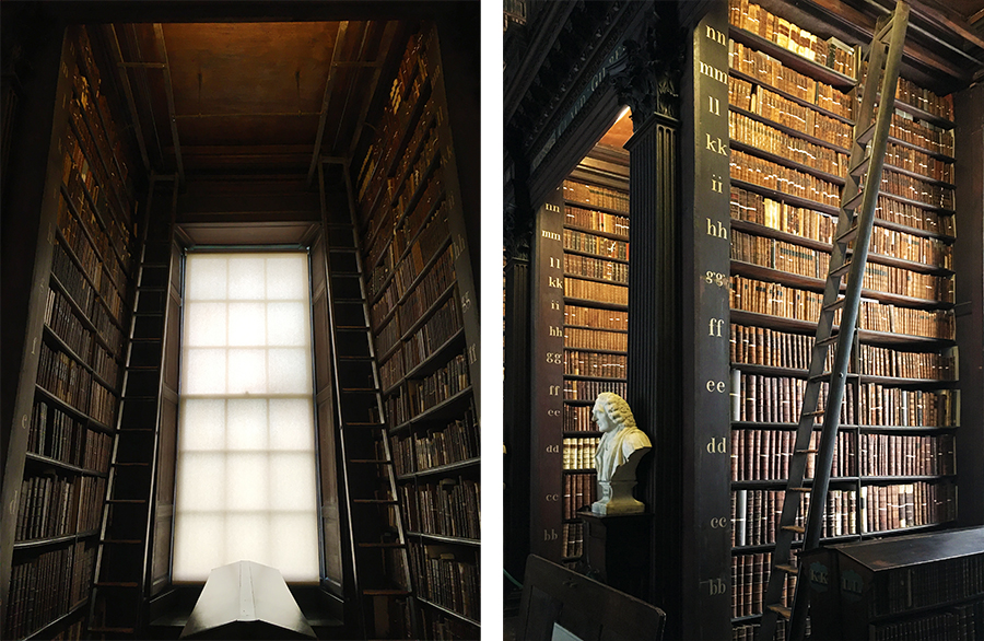 Die Fenster sind mit Lichtschutz verhangen, um die Bücher vor Alterung zu schützen.