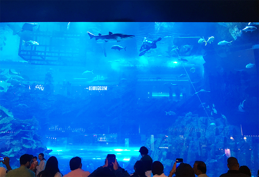 ...sondern noch etliche andere Dinge erleben und bestaunen, wie z.B. das größte Indoor-Aquarium der Welt.