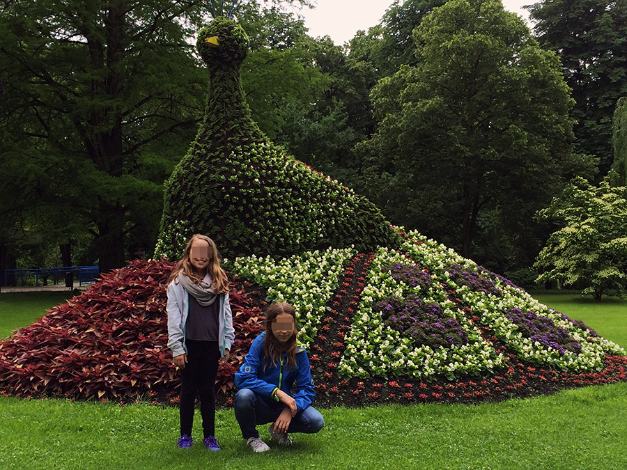 Markenzeichen von Bad Krozingen sind die wirklich beeindruckenden Blumenkunstwerke im Stadtpark.