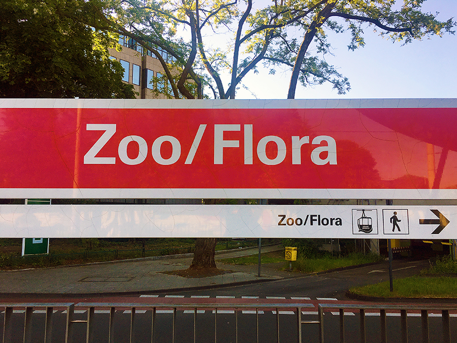 Die Haltestelle "Zoo/Flora" der Linie 18 liegt genau gegenüber des Eingangs zum Zoo.