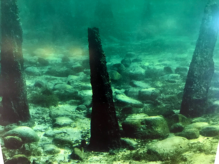 So sehen die Überreste der originalen Pfahlbauten am Grunde des Bodensees aus.