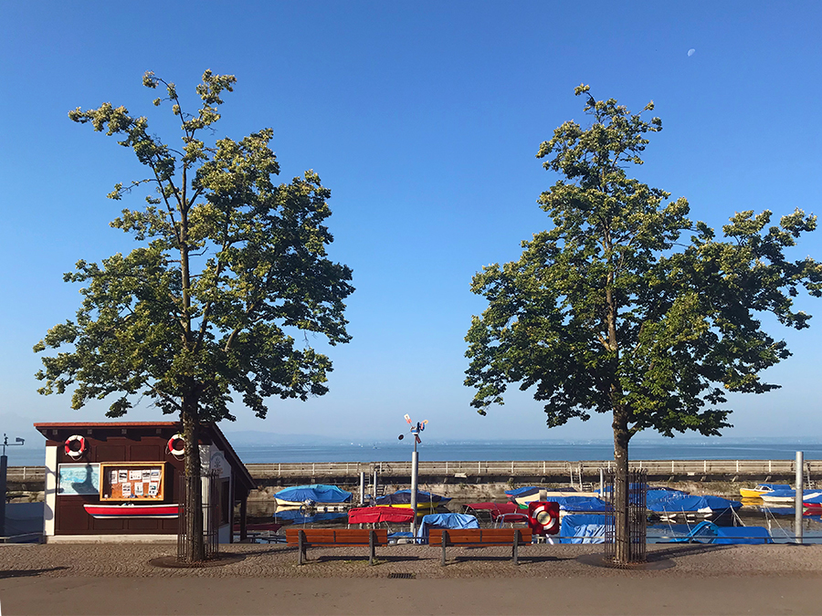 Angekommen in Friedrichshafen, mit erstem Blick auf bunte Boote am Ufer des Bodensees.