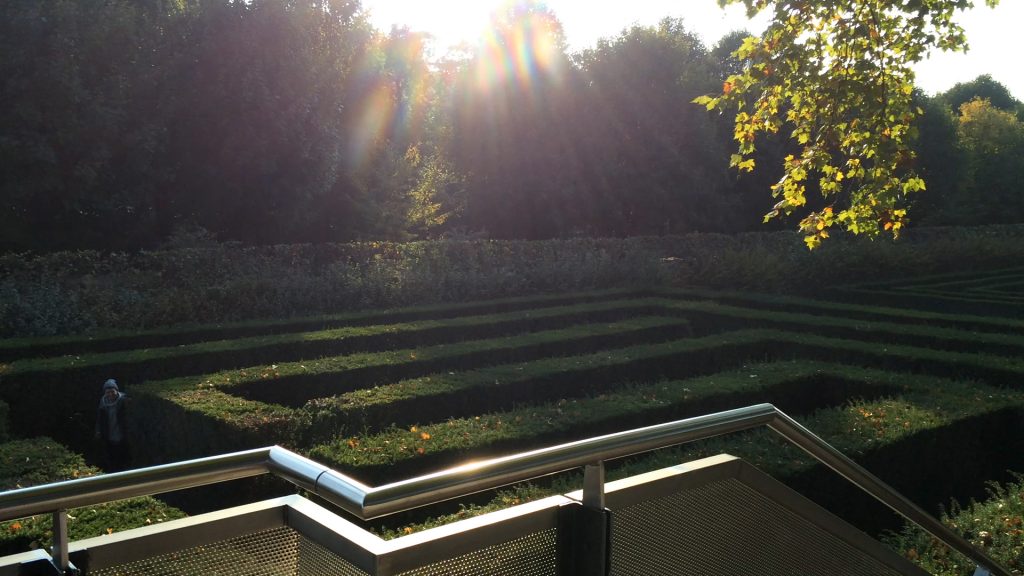 Blick über den Irrgarten von Schönbrunn im Abendlicht.