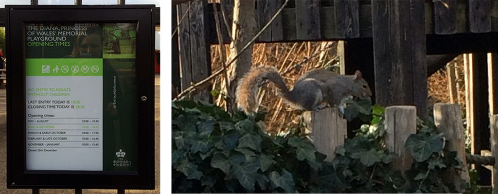 Eichhörnchen laufen einem in so ziemlich jedem Londoner Park über den Weg, so auch hier im Diana Memorial Playground in den Kensington Gardens.