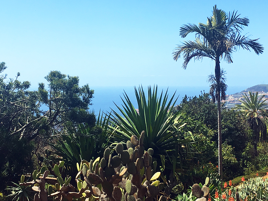 Ausblick vom Botanischen Garten... 