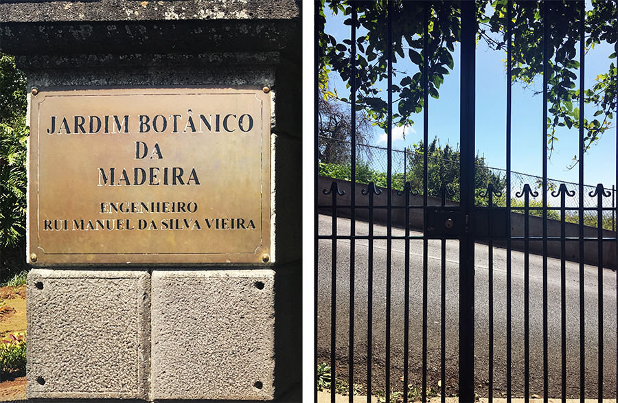 Am Eingang des 'Jardim Botânico', des Botanischen Gartens von Madeira.