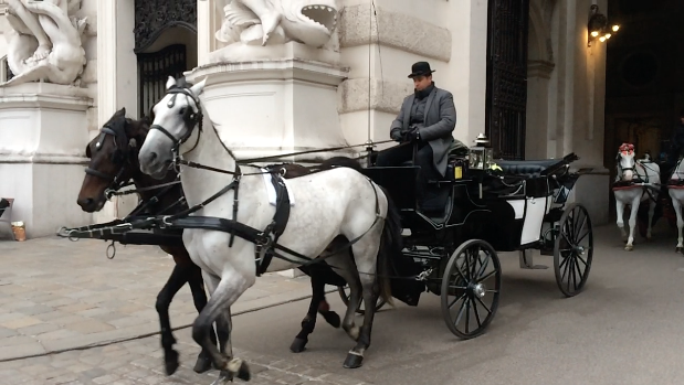 Die Fiaker, Wiens berühmte Pferdekutschen. Dieser hier fährt allerdings um die Hofburg.