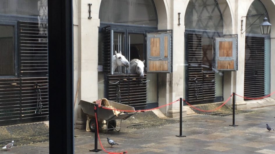 Ein Blick in die 'Stallburg', so heißen die Ställe der Lipizzaner.