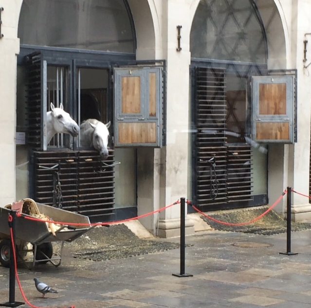 Ein Blick in die 'Stallburg', so heißen die Ställe der Lipizzaner.