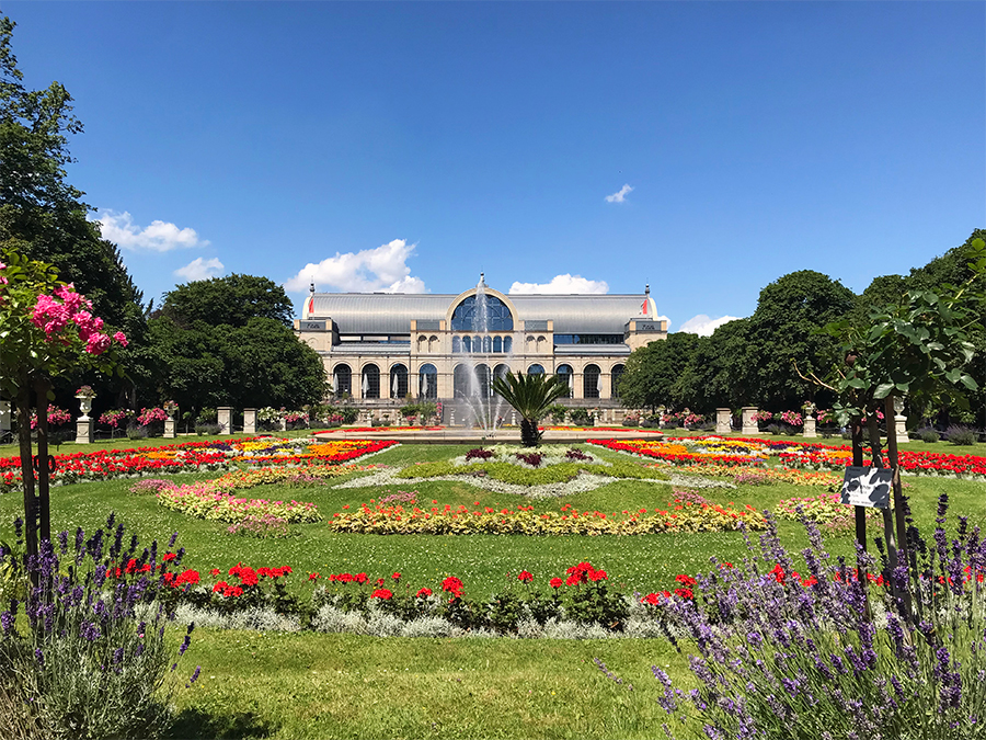 Blick auf die Kölner Flora über die Blumenrabatte vom Haupteingang aus. Es sieht beinahe aus wie ein Gemälde, oder? Ist aber einfach "in echt" so wunderschön!