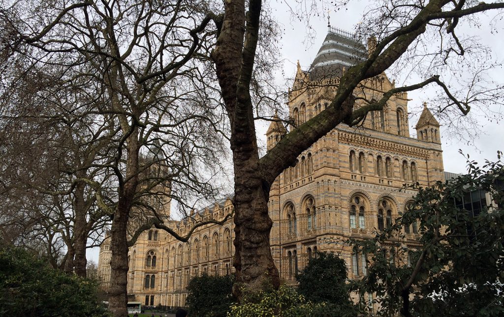 Alleine das Gebäude ist schon mächtig und beeindruckend: Das Natural History Museum in London. 