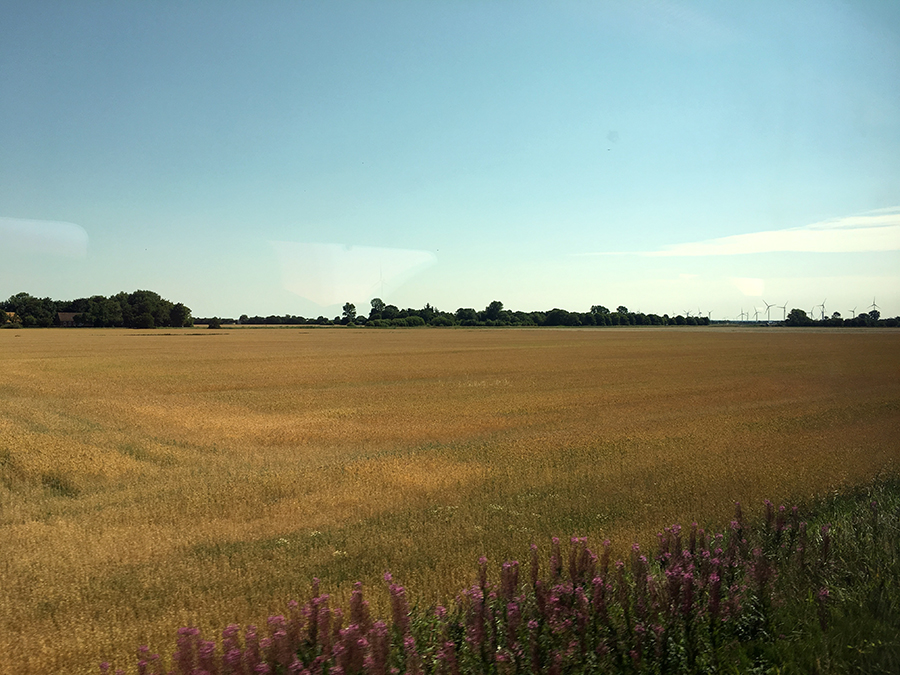 Blick aus dem Zugfenster - noch auf dem Festland. Man kann das Meer aber schon riechen, bald sind wir auf der Insel!