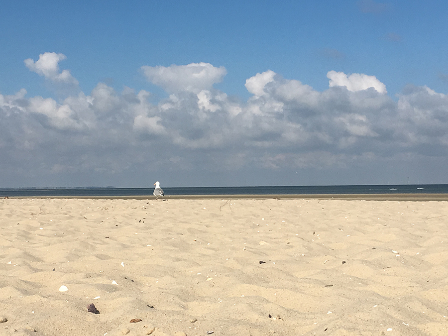 Geschafft, verdiente Pause im Sand. Ganz schön anstrengend, so eine Wattwanderung!