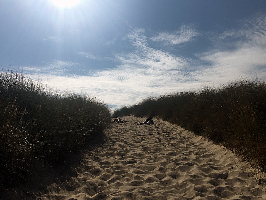 Etwas entkräftet anscheinend. Wobei es natürlich auch einfach Spaß macht, sich, egal, wo man geht und steht, einfach fallen lassen zu können, weil ja überall weicher, warmer Sand ist.