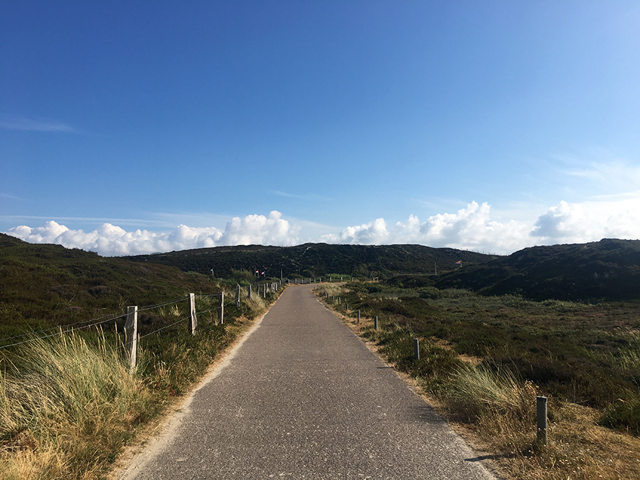 Wunderbare Ruhe auf der Straße zurück zur Bushaltestelle. Wieder sind wir fast ganz alleine unterwegs!