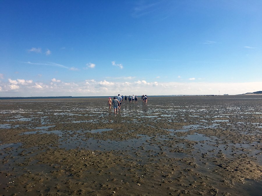 Plitsch-platsch, barfuss durch Wasser, Sand und Schlick.