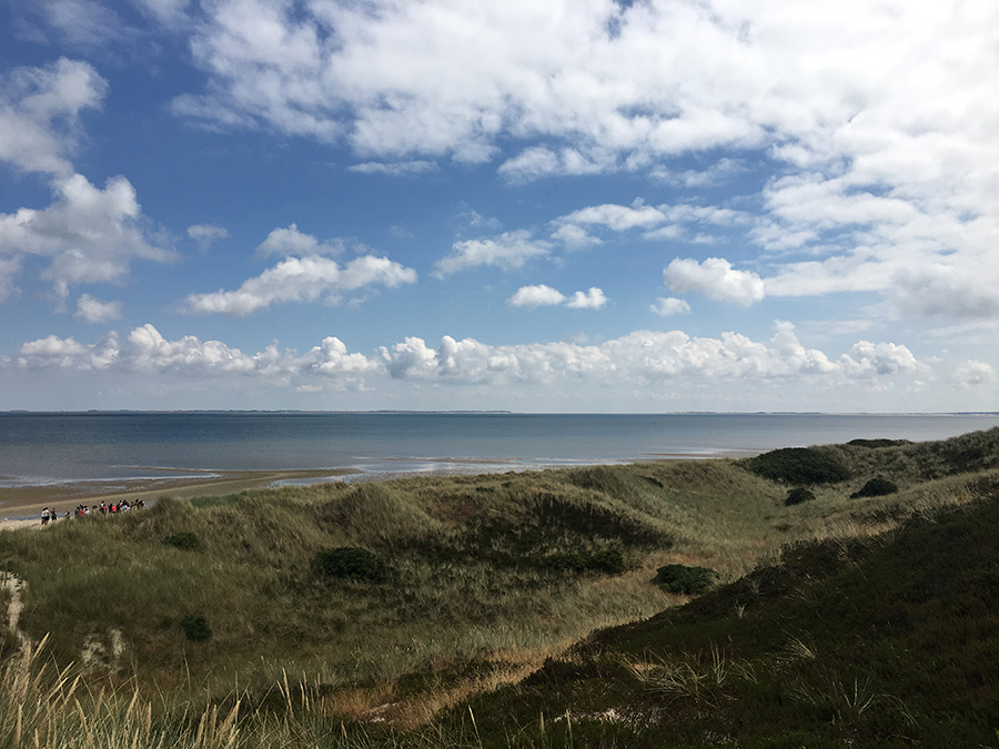 Durch die Dünen zum Wattenmeer, vorne links geht bereits eine weitere Gruppe.