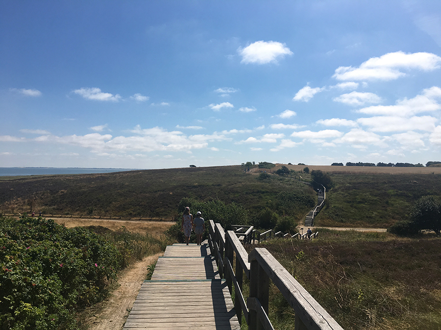 Holzplankenwege gibt es auch hier in der Heide.