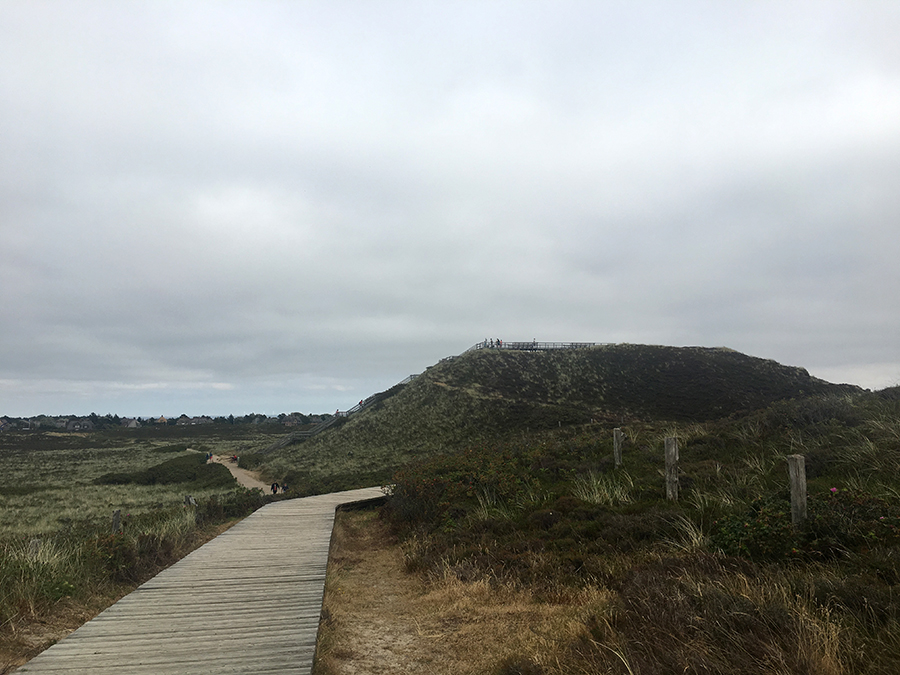 Der Weg zur Uwe Düne, die höchste von ganz Sylt.