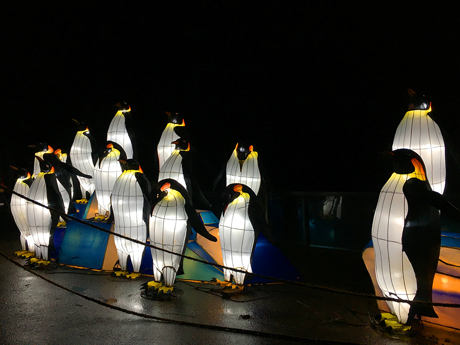 ... und jede Menge Pinguine.