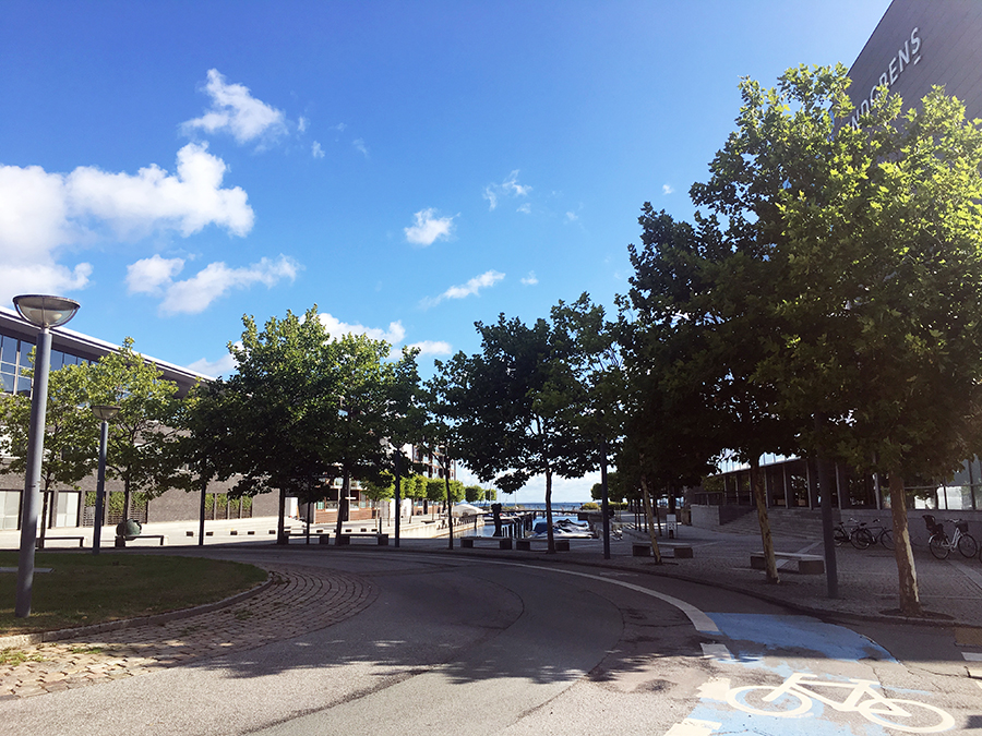 Überall und immer: Platz für Fahrräder im Straßenverkehr.