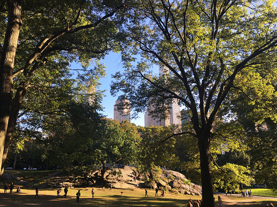 Der Central Park in Manhattan in New York City: Was ist das Besondere daran und was dort machen?