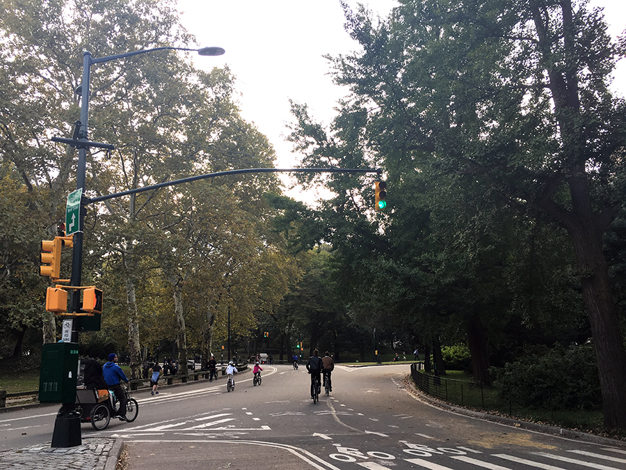 Damit man nicht immer ganz außen herum fahren muss, führen einige (wenige) Straßen durch den Central Park, die die Avenues im Westen und Osten verbinden.