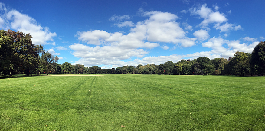 'The Great Lawn', die große Wiese heißt - völlig berechtigt - dieser Teil des Central Parks.