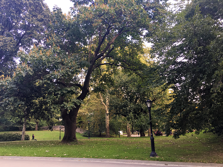 Idyllisch: viel Ruhe und viel Platz im Central Park.