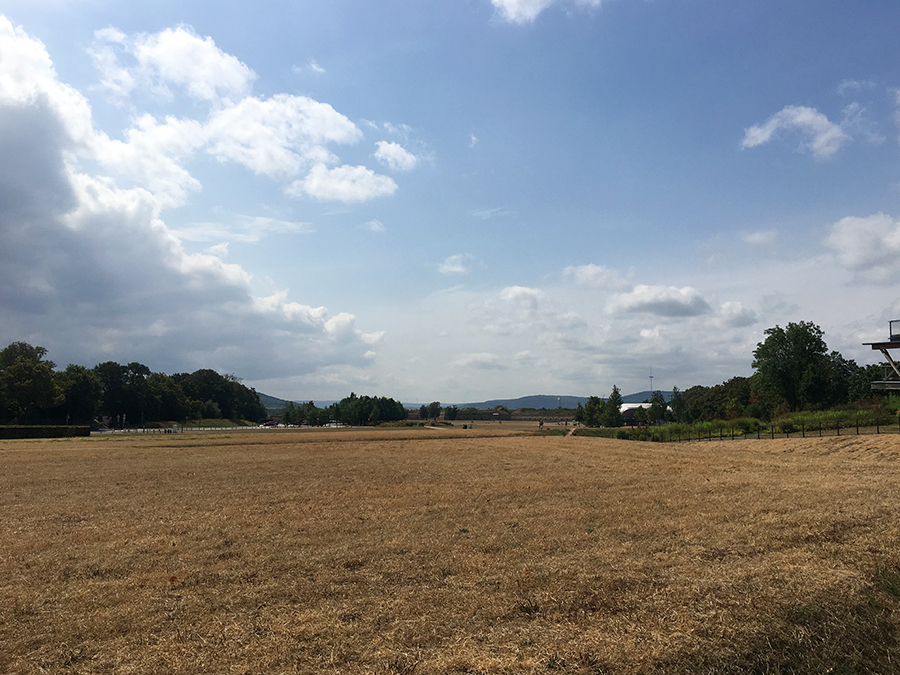 Die - aktuell leider ziemlich vertrocknete - Wiese der Bundesgartenschauanlage.