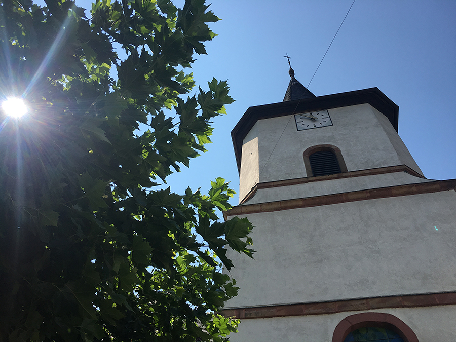 Kirchturm und Blätterdach unter knallblauem Sommerhimmel - Idylle pur!