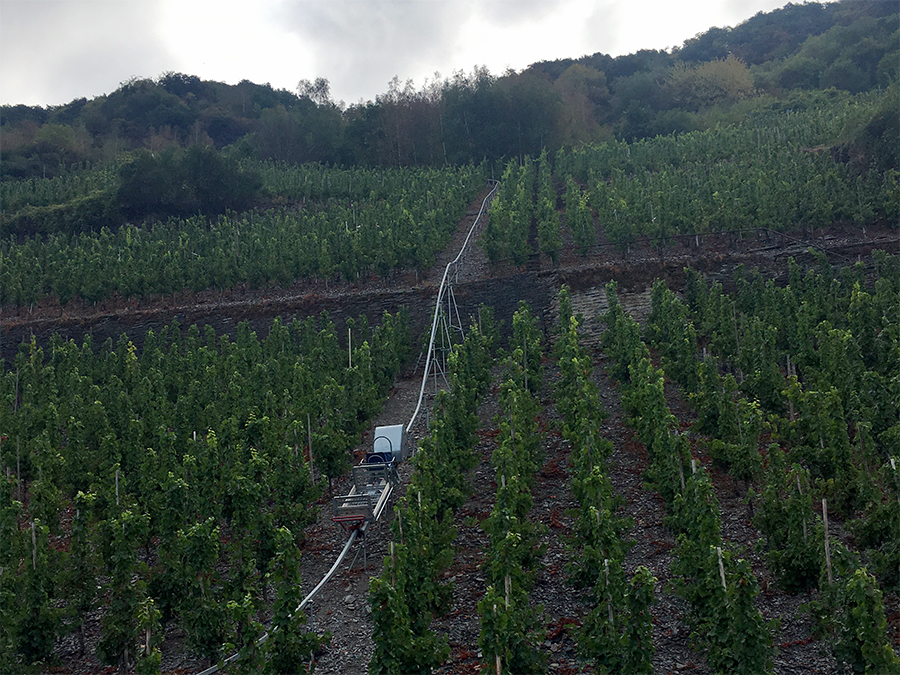 Diese Konstruktionen helfen, die Traubenernte die steilen Berge hinabzubringen.