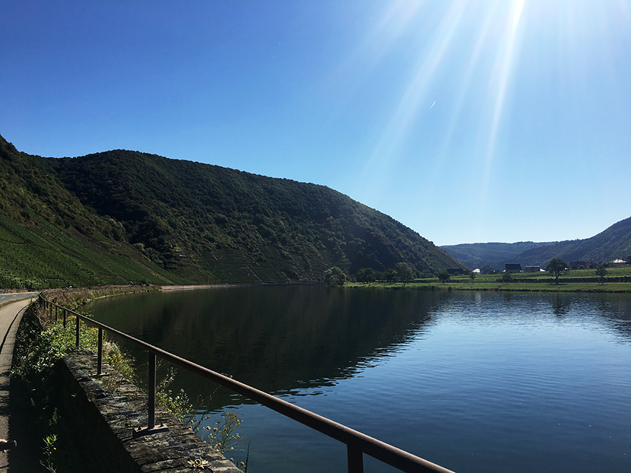 Flirrende Hitze, keine Wolke am Himmel während unserer Radtour an der Mosel.