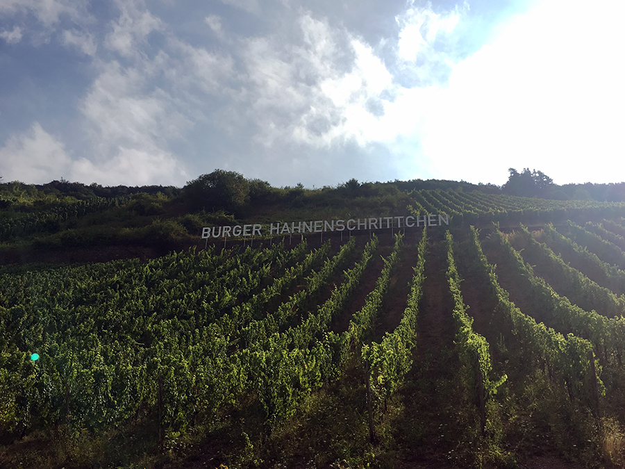 Diese Buchstaben sind riesig! Aber so weiß man immer, wo man ist - und, wo die Trauben für welchen Wein wachsen!