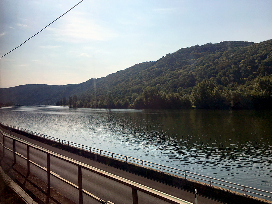 Blick aus dem Zug-Abteil auf die Mosel.