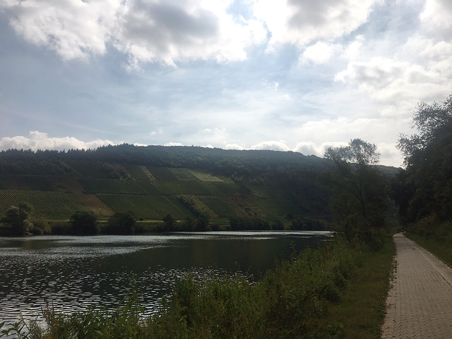 Wir sind froh, dass wir nicht die Abkürzung über den Berg genommen haben und lieber hier gemütlich an der Mosel entlang rollen!