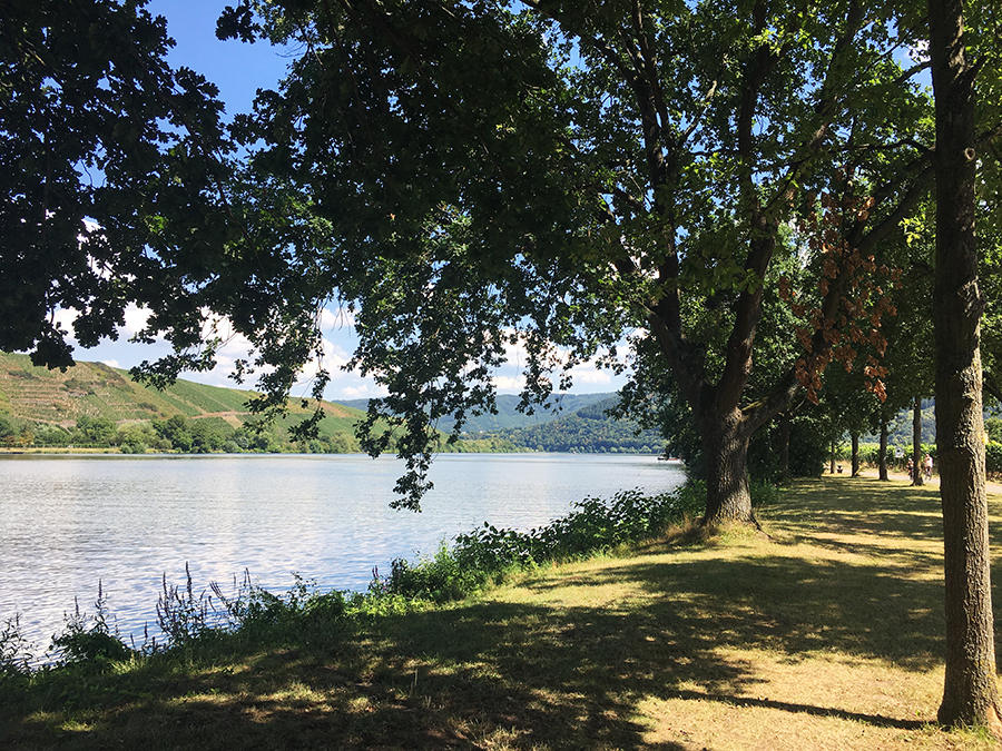 Hier ist die Route richtig schön: Immer am Ufer der Mosel entlang.