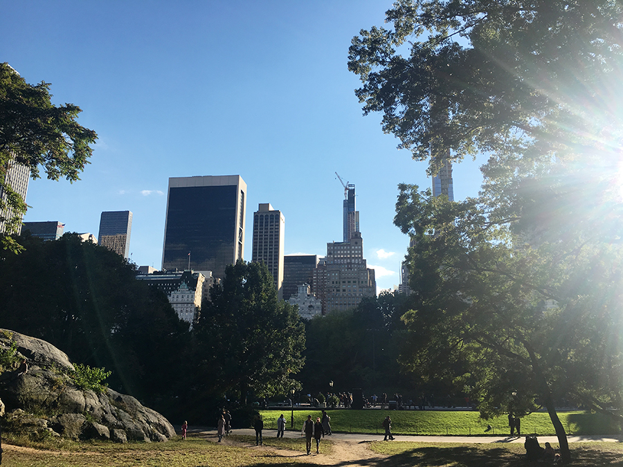 Der Central Park mitten in Manhattan in New York City.
