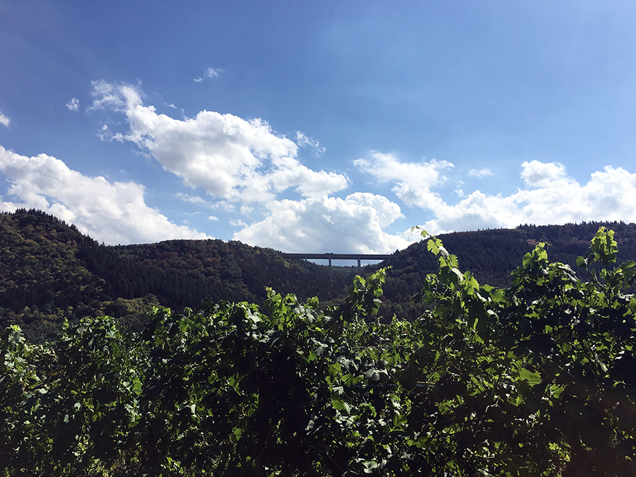 Schwindelerregende Höhe: Eine Talbrücke über das Moseltal.