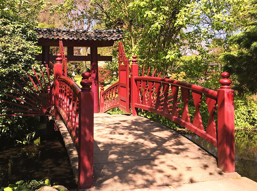 Fruhling Nebenan In Asien Ein Ausflug In Den Japanischen Garten In Leverkusen Sightstories