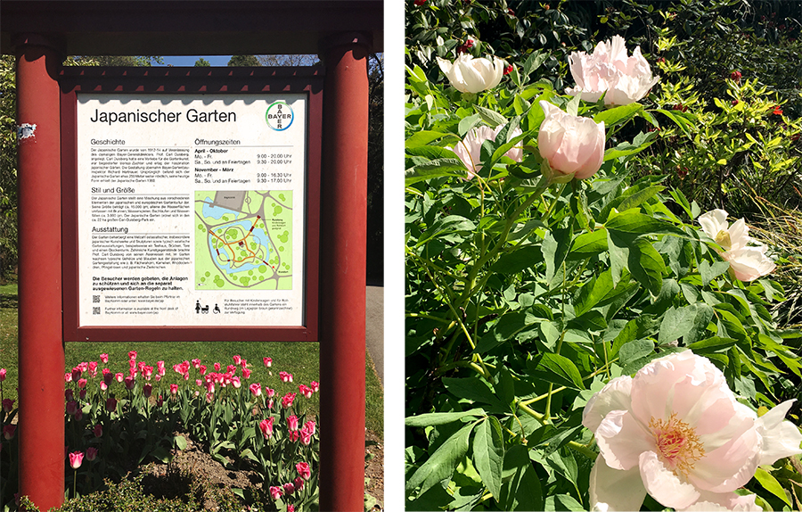 Bereits am Eingangsschild des 'Japanischen Gartens': farbige Blumenpracht, wohin man sieht.