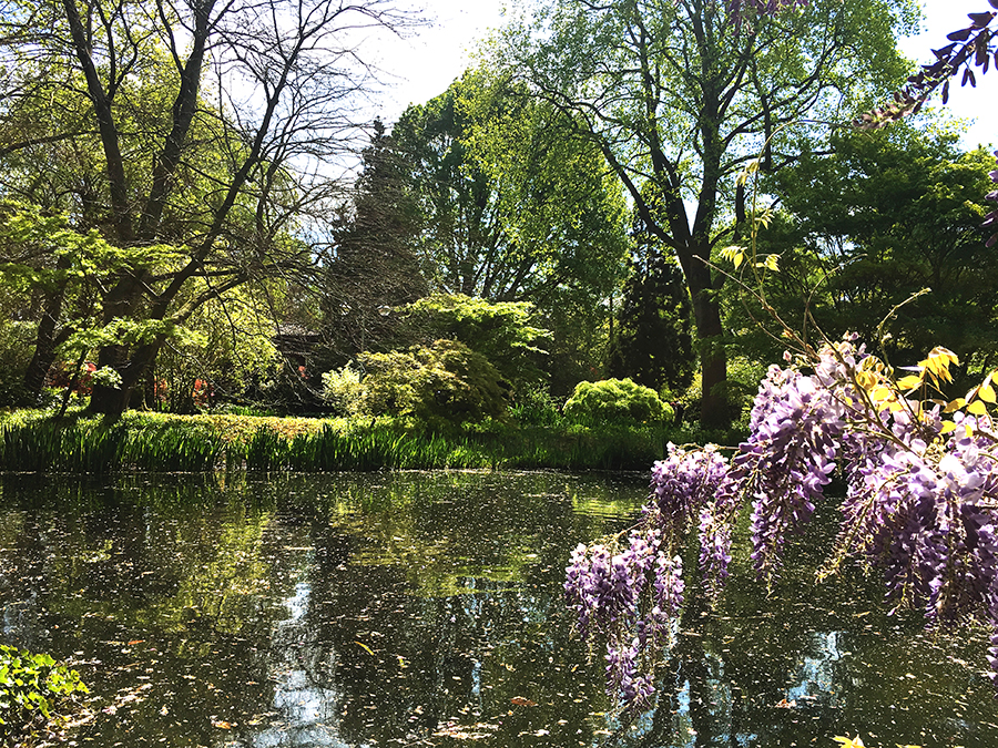 Bäume, Büsche, Seen und Blumen allüberall - ist das schön hier!